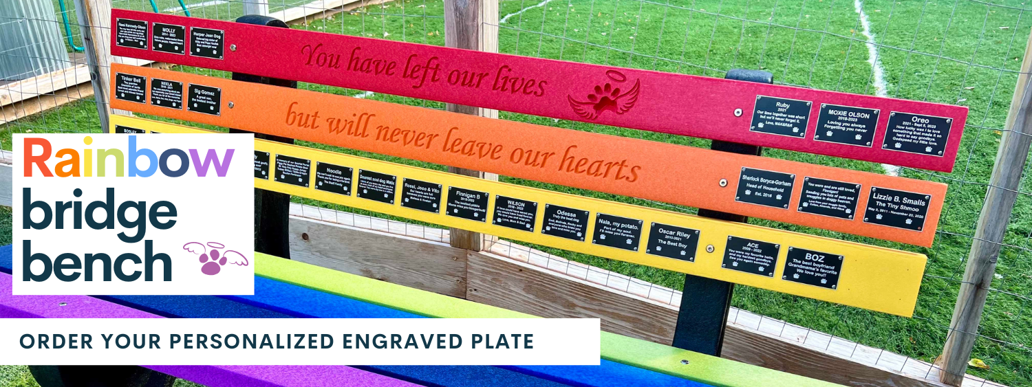 Rainbow Bridge Bench | Omaha Dog Bar
